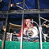various_photos13.jpg