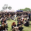 various_photos31.jpg