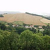 various_photos35.jpg