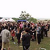 various_photos37.jpg