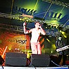 funker_vogt06.jpg