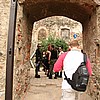 various13.jpg