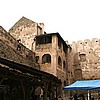 various15.jpg