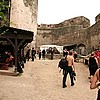 various16.jpg