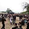 various26.jpg