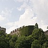 various29.jpg
