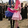 visitors14.jpg
