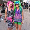 visitors36.jpg