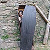 visitors45.jpg
