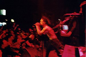 dasich102.jpg 78 KB 904 x 600