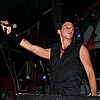 the_guests05.jpg