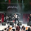 the_pussybats01.jpg