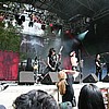 the_pussybats07.jpg