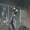 the_pussybats08.jpg