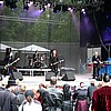lycosia0.jpg