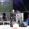 lycosia5.jpg