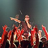 nitz15_f.jpg
