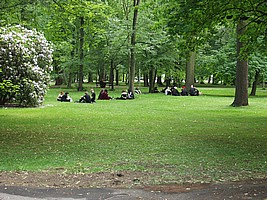 p6062004.jpg (800 x 600)