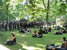 p6072228.jpg (800 x 600)