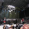 metallspurhunde0.jpg